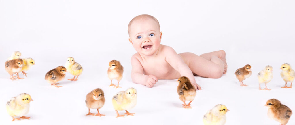 Anna Hefele - Fotografie - Schwabmünchen - Augsburg - Babyfotografin